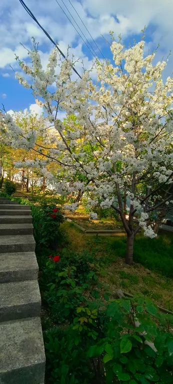 Коттедж Дом с видом на море и город — Сочи