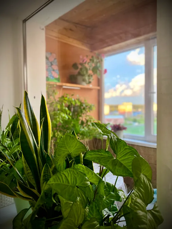 Просторная квартира