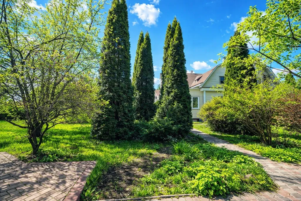 Дом с бассейном у леса