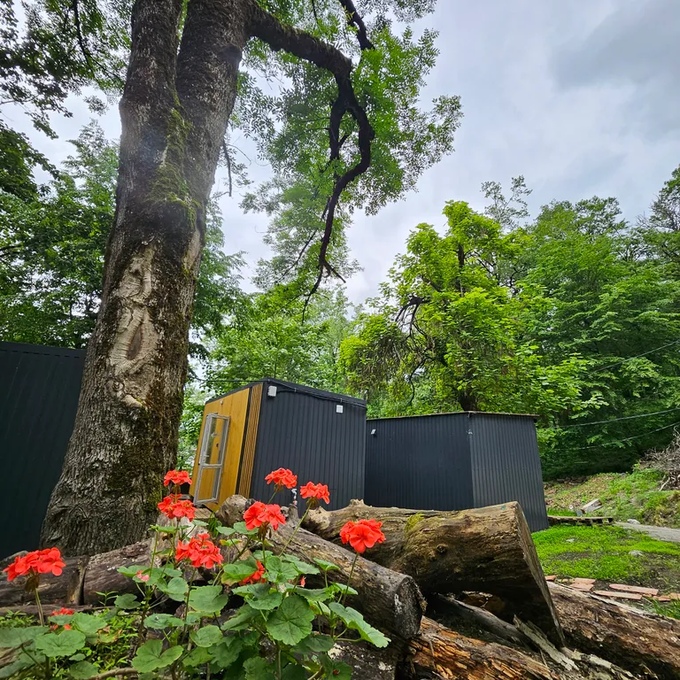 1-комнатный Дом