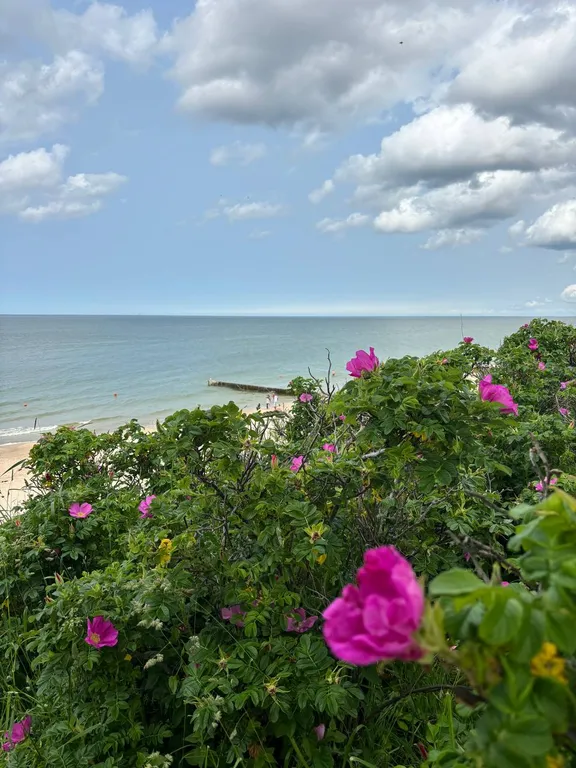 Шепот Балтики