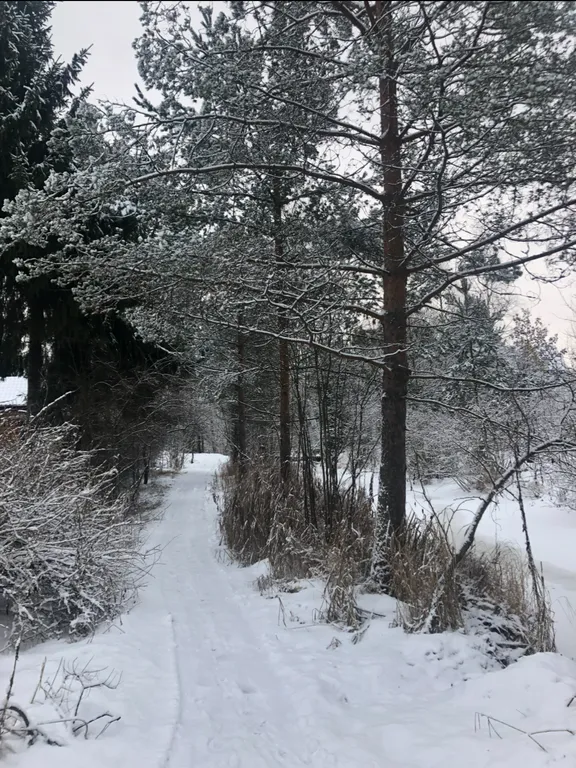 Коттедж с сауной рядом с озером