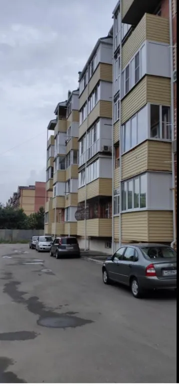 Новая квартира у источника