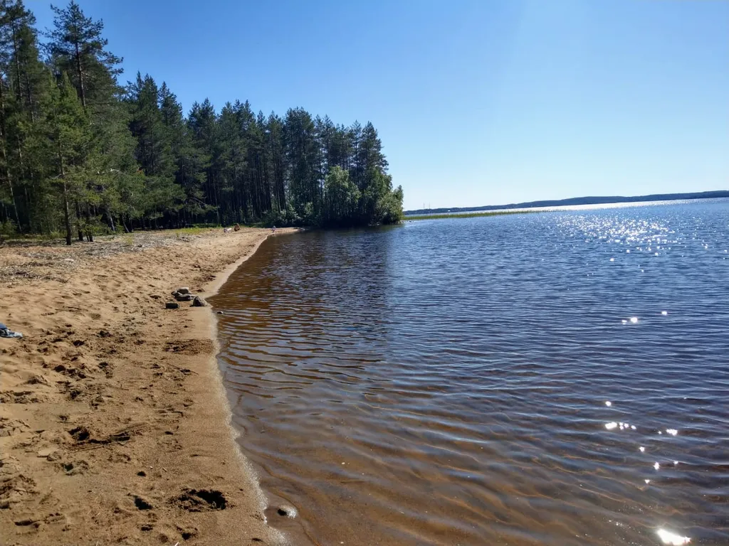 Сосновое шале на берегу Сямозера