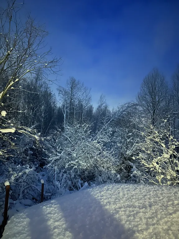 Коттедж Дом у леса с баней и чаном — Санкт-Петербург