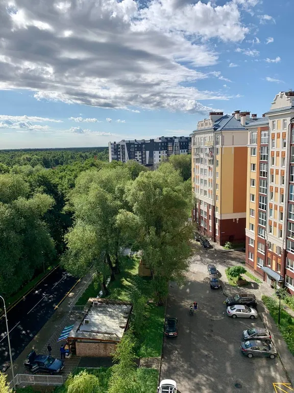 Новая уютная квартира с видом на море и лес