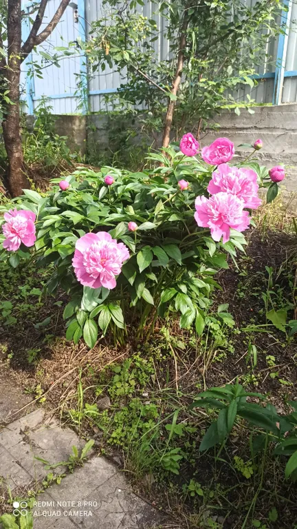 Домик в предгорье горы "50 лет"