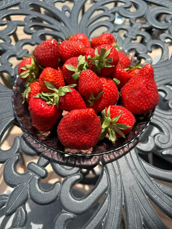 Квартира Квартира Евродвушка в двух шагах от лазурных волн — Геленджик