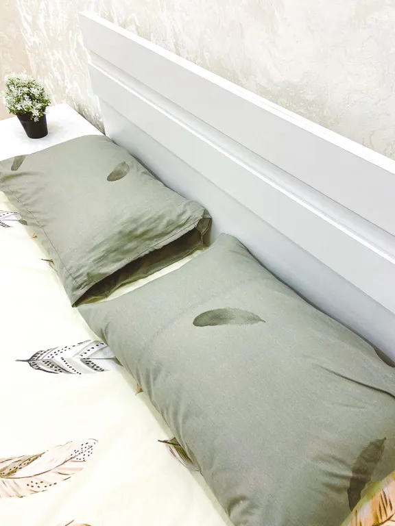 Уютная евродвушка возле ТРЦ Хан Шатыр