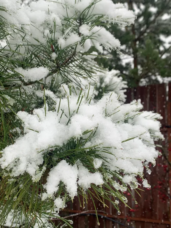 Дом у пруда