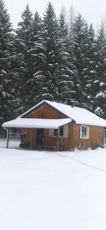 Домик у речки - мечта интроверта