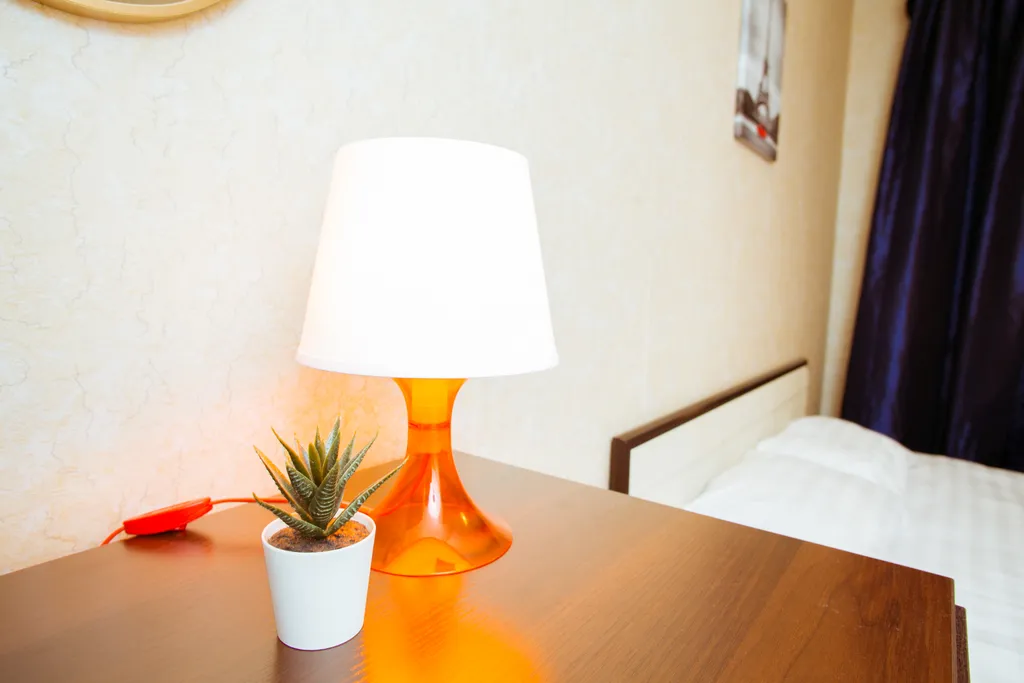 Уютная однокомнатная квартира на Парнасе