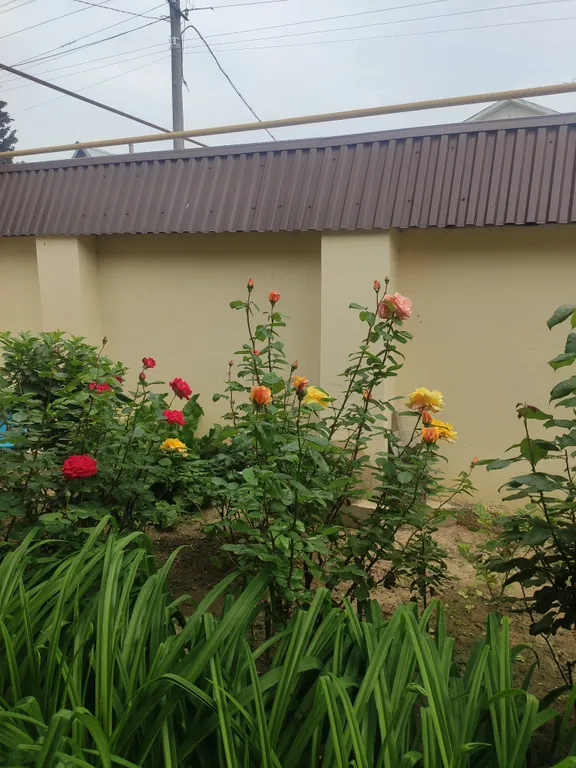 Двухэтажный уютный коттедж на берегу моря с садом