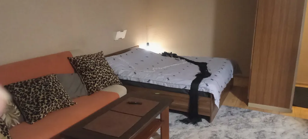 Уютная студия в центре с видом на стадион Донбасс-арена