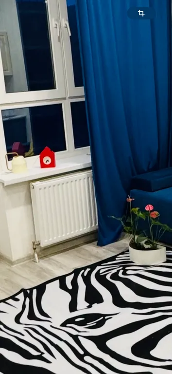 Студия на море 800 ступенек, ласточкины гнезда