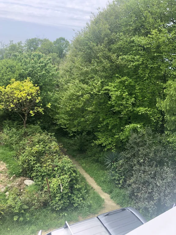 Апартаменты с видом на море и лес