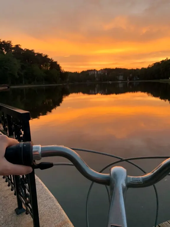 Квартира Уютная солнечная квартира в центре — Светлогорск