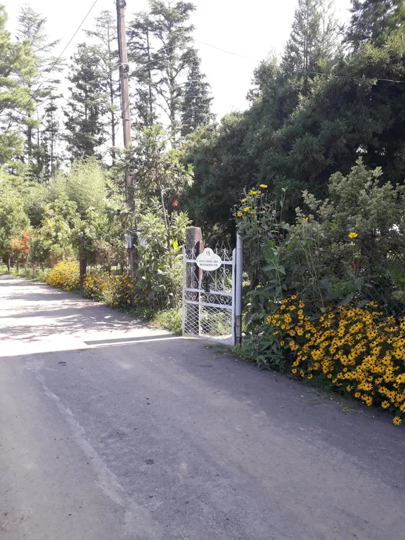 Квартира Комната — аренда посуточно в Батуми