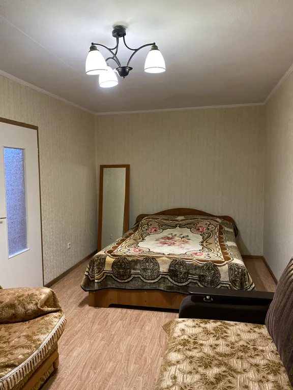 1-комнатная уютная квартира на Куйбышева (Хольцман)