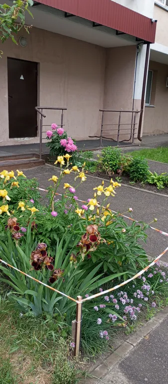 Уютная квартира рядом с Кардиологическим центром и трассой М5