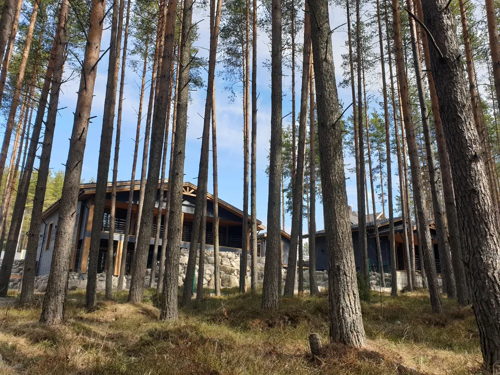 Коттедж Номер в гостевом доме ранта в сосновом бору 50 м от онежского озера — аренда посуточно в Медвежьегорск