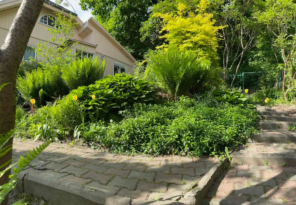 Коттедж Апартаменты с видом на озеро тихое — Светлогорск