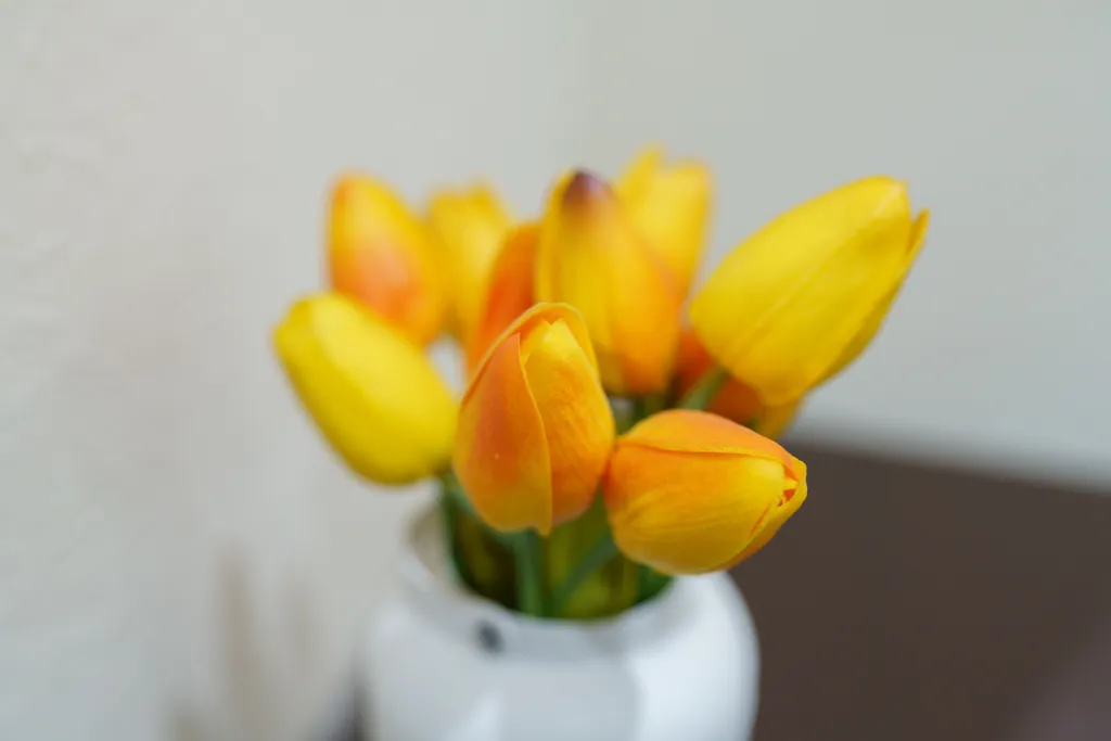 Квартира Gold Fish в бизнес районе