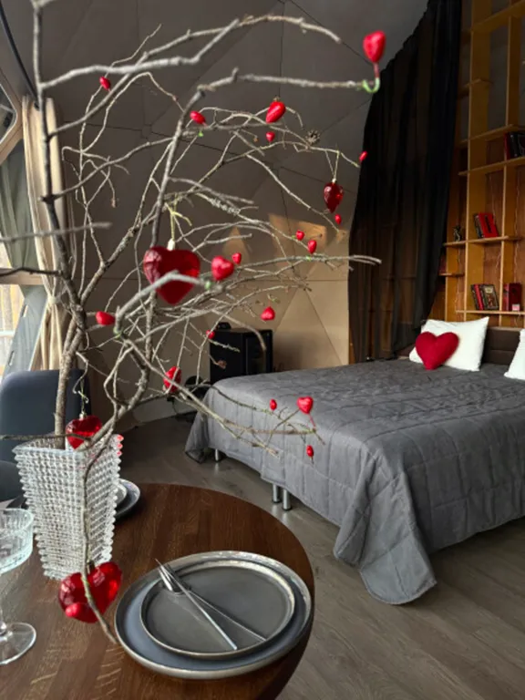 Коттедж Коттедж Купол сфера "Секрет" 18+ — Четверяково