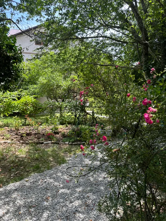 3-комнатный апартамент