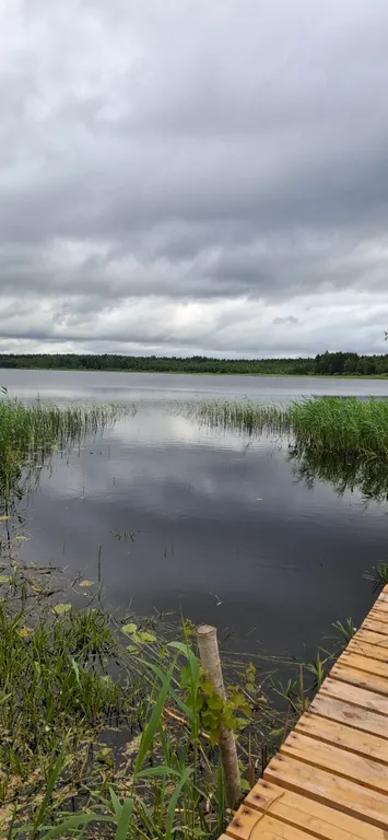 Коттедж Коттедж Селигерское — Березово