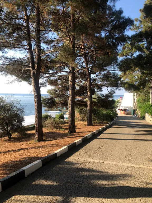 Просторные, уютные апартаменты