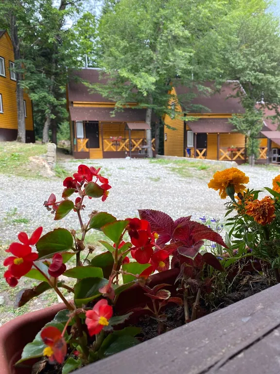 Коттедж 3-комнатный Дом — Архыз