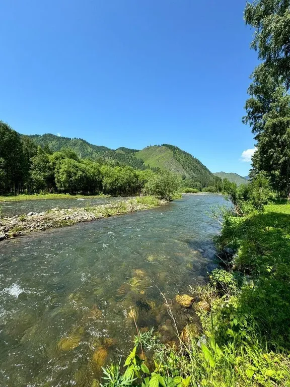 Аил( национальное алтайское жилье)