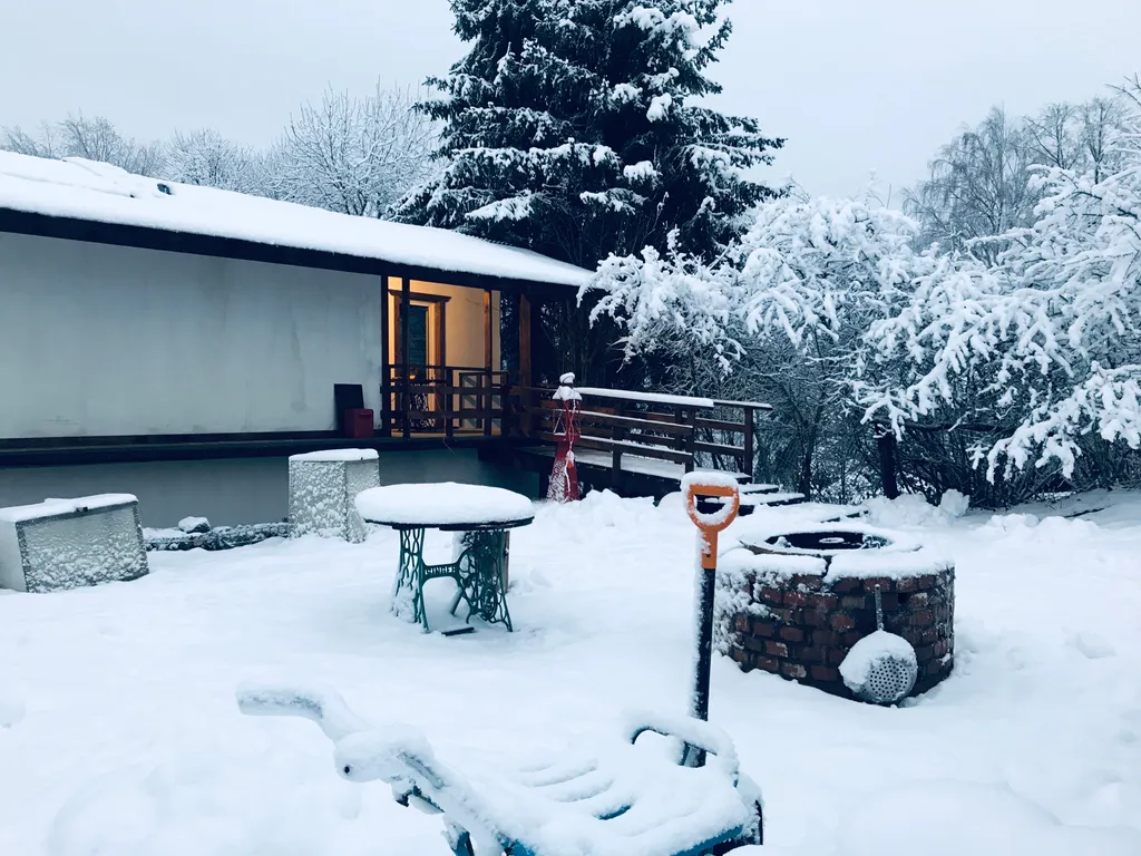 Три галки с мансардой