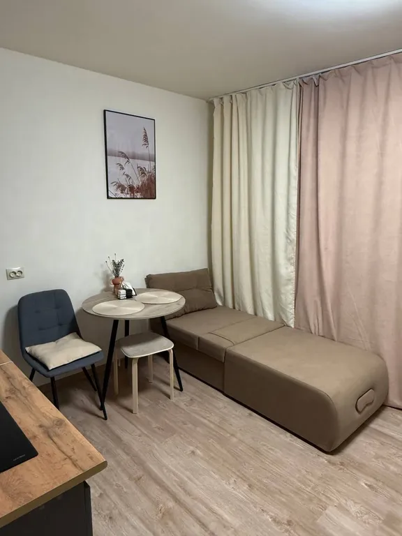 Уютная студия Рощинская 26 с видом на пруд