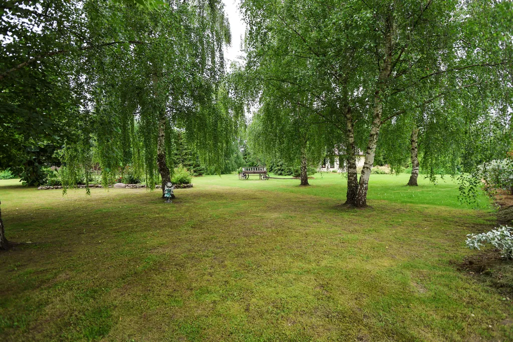 Уютный коттедж с баней на территории