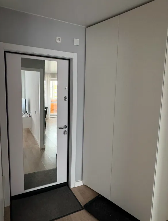 Светлая, уютная и современная однокомнатная квартира