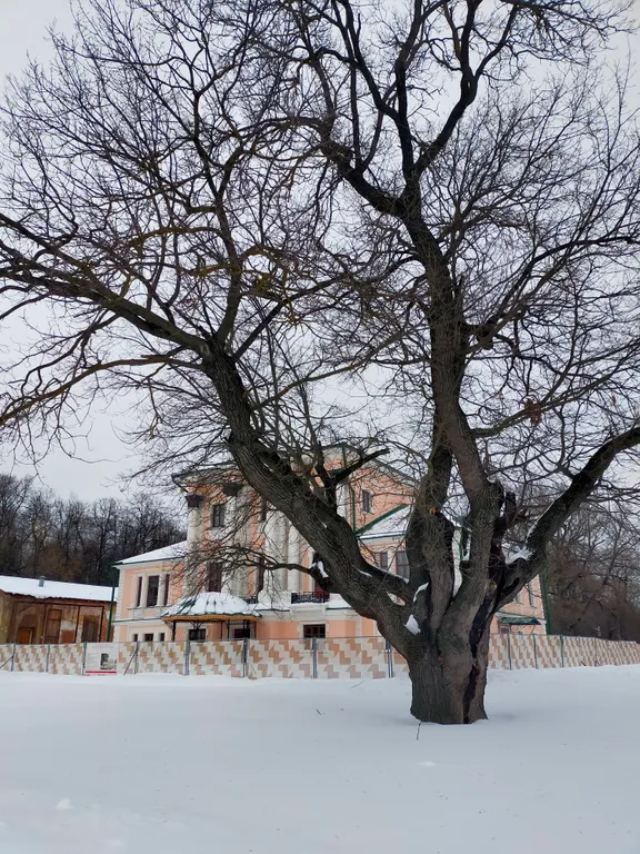 Домик Сказка