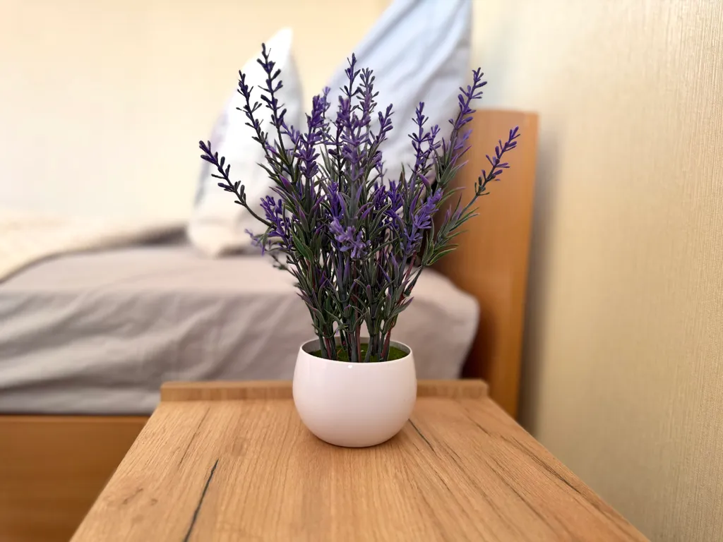 Уютная квартира на сквере мира в центре