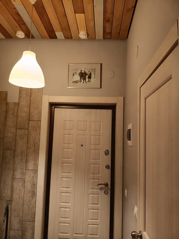 Уютная студия на Плотинной