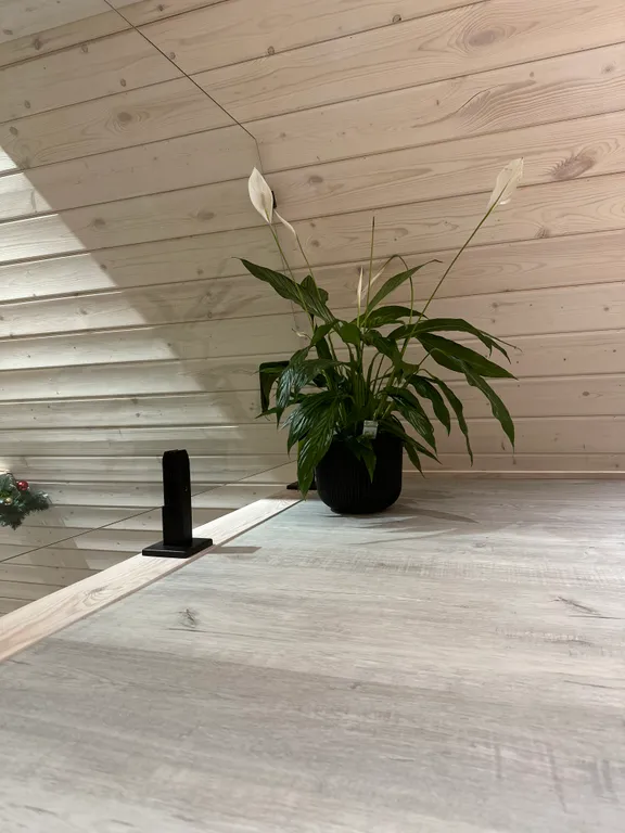 Уютный домик в лесу