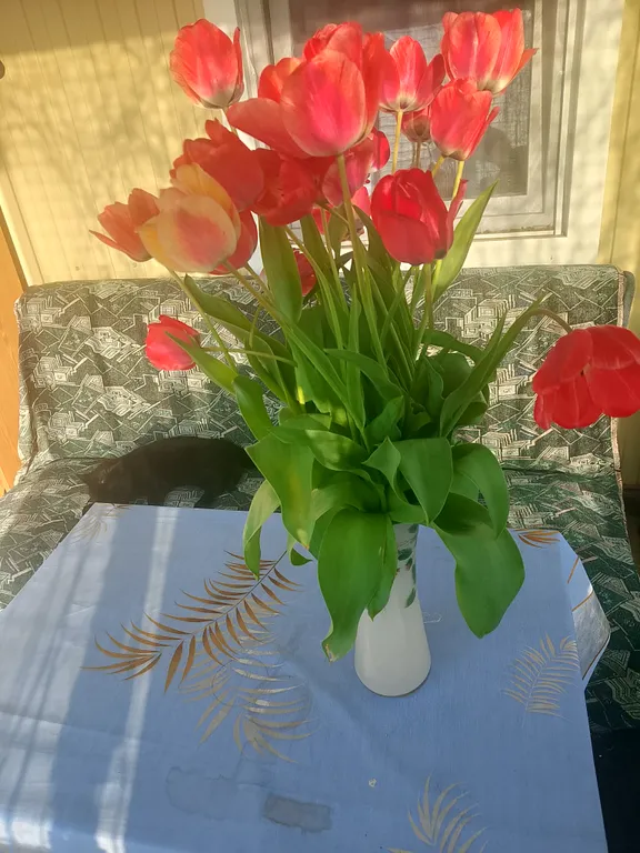 Гостевой дом У Тузика на 3-4 человека