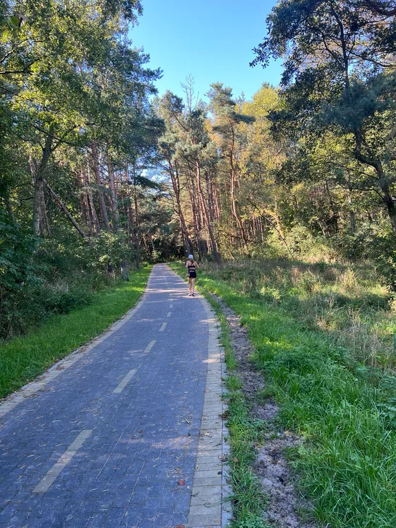 Прекрасная Кёнигсбергщина-1