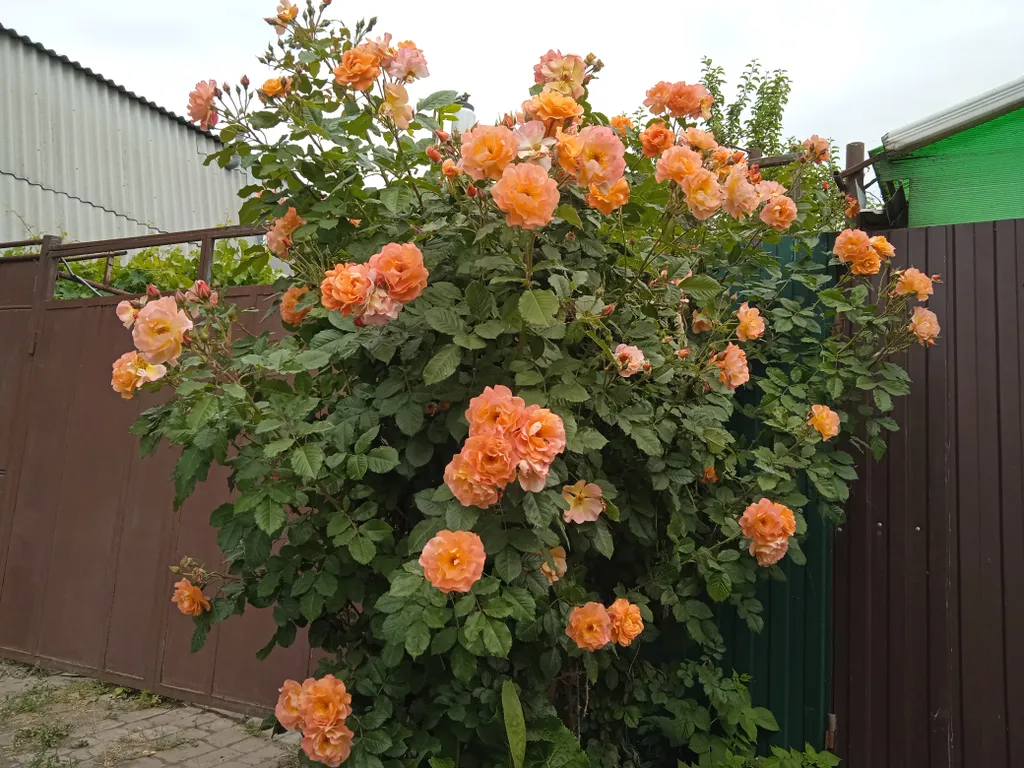 Большой дом в центре у моря
