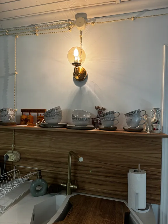 Дом с лосем