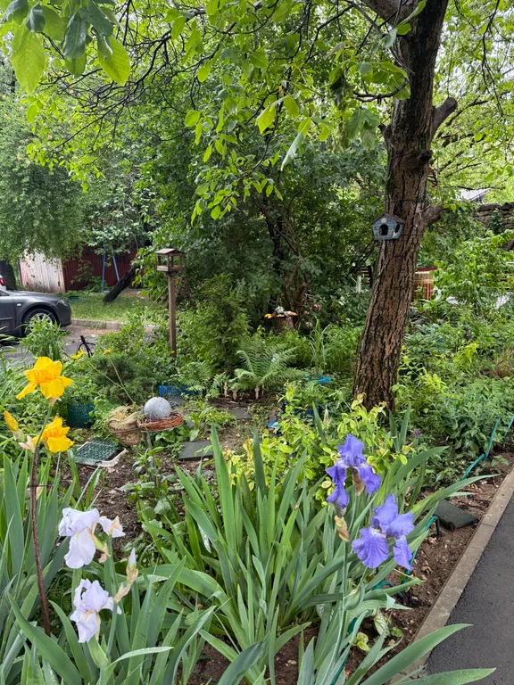 Квартира Уютная квартира возле парка — Симферополь