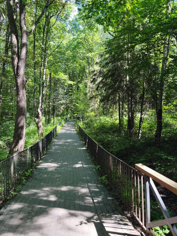 Квартира Новая квартира у моря — Светлогорск