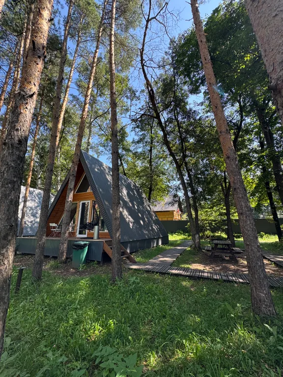 Дом A-Frame №3 "Sky"