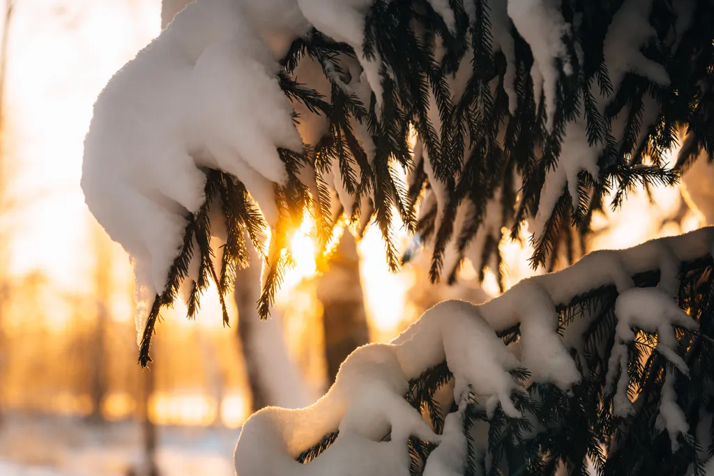 Просторные апартаменты