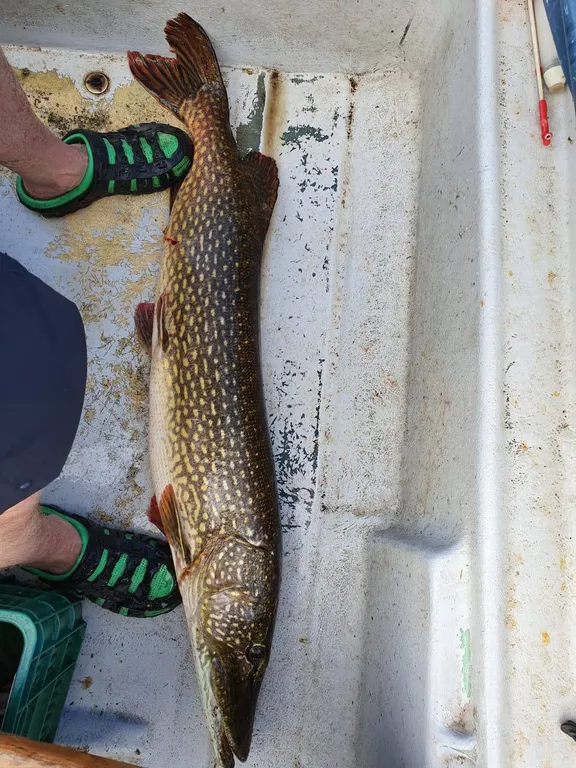 Карельская Дача Уютное шале с камином в сосновом бору, берег Сямозера